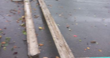 FOTO. Vijelia a făcut ravagii la Constanța! Copaci și stâlpi doborâți, mașini avariate - 6
