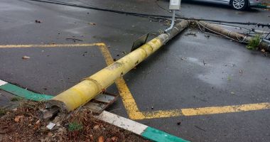 FOTO. Vijelia a făcut ravagii la Constanța! Copaci și stâlpi doborâți, mașini avariate - 2