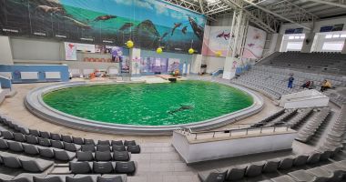 Galerie foto. Eveniment important la Delfinariul Constanţa. MOMENT UNIC! - 2