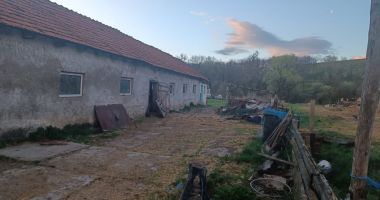 FOTO / SCLAVIE ÎN LOC DE COPILĂRIE! Minoră muncită şi agresată, ţinută într-o cuşcă, la stână, în mizerie - 3