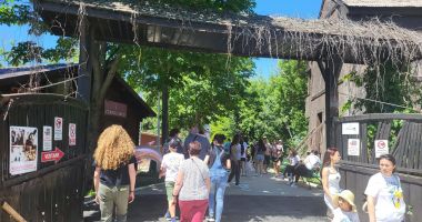 Foto. Destinație ideală pentru 1 iunie: Complexul Muzeal de Științe ale Naturii - 3