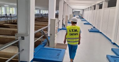 Stire din Social : Controale riguroase ale ITM Constanța. Ce domeniu au verificat luna aceasta inspectorii