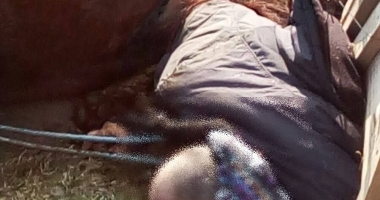 IMAGINI ȘOCANTE / TRAGEDIE ÎN JUDEȚUL CONSTANȚA. Un bărbat A MURIT după ce a căzut, ÎMPREUNĂ CU CALUL SĂU, într-un canal - 3