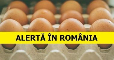 Stire din Social : Ouăle contaminate cu Fipronil nu au ajuns la consumatori