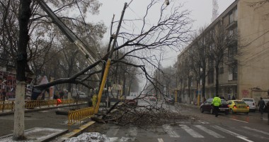 IMAGINI incredibile pe b-dul Tomis / Copac smuls din rădăcini și aruncat în mijlocul drumului - 5