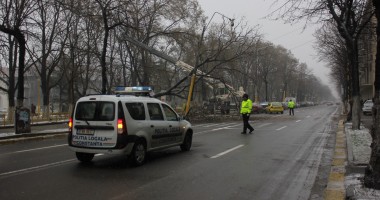 IMAGINI incredibile pe b-dul Tomis / Copac smuls din rădăcini și aruncat în mijlocul drumului - 3