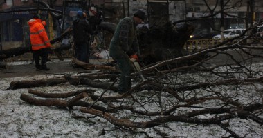 IMAGINI incredibile pe b-dul Tomis / Copac smuls din rădăcini și aruncat în mijlocul drumului - 4