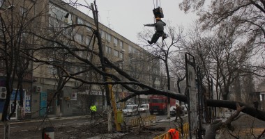 IMAGINI incredibile pe b-dul Tomis / Copac smuls din rădăcini și aruncat în mijlocul drumului - 7