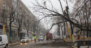 Constanța, sub viscol și ger năprasnic - 4