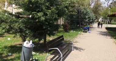 Stire din Politică-Administrație : GALERIE FOTO / Bine că plătim Polarisului zeci de milioane de euro pentru gunoi. Parcul Viitorului, o "oază" de mizerie