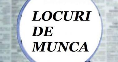 Stire din Politică-Administrație : Ce locuri de muncă au la dispoziție șomerii