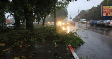 Stire din Social : Mai mulți copaci căzuți pe străzile din municipiul Constanța