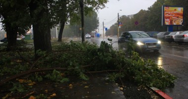 Mai mulți copaci căzuți pe străzile din municipiul Constanța - 3