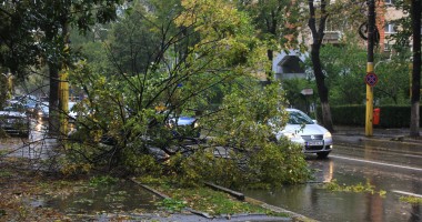 Stire din Social : Galerie FOTO. Furtuna face ravagii în Constanța: un copac a rupt firele de electricitate și a lăsat zona fără curent electric