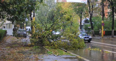 Galerie FOTO. Furtuna face ravagii în Constanța: un copac a rupt firele de electricitate și a lăsat zona fără curent electric - 2