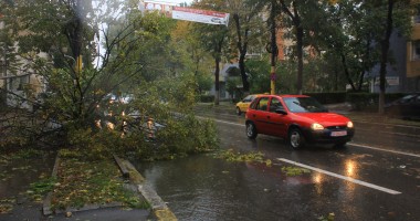 Galerie FOTO. Furtuna face ravagii în Constanța: un copac a rupt firele de electricitate și a lăsat zona fără curent electric - 5