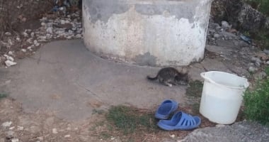 GALERIE FOTO - VIDEO / UPDATE. Femeie căzută într-o fântână, în localitatea constanteană Movila Verde - 7