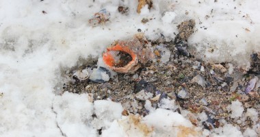 Imagini inedite/ Marea Neagră încremenită - 15
