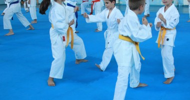Karate / O legendă a karatelor a susținut un stagiu la Constanța. Galerie FOTO - 8