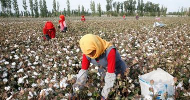 Stire din Actualitate : Importurile din provincia chineză Xinjiang, interzise în SUA