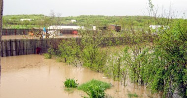 Stire din Economie : Impozitul agricol se reduce pentru culturile calamitate în 2013