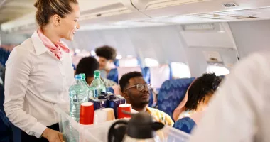 În avion
