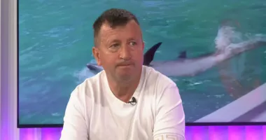 Stire din Actualitate : „În Prim-Plan” - Delfinii în așteptare! Se caută soluții pentru salvarea spectacolelor