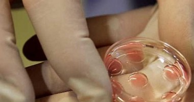 Fertilizare in vitro pentru 330 de cupluri