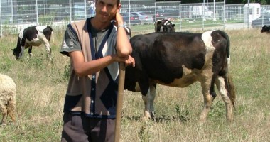 Stire din Economie : În atenția producătorilor și achizitorilor de lapte