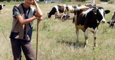 Stire din Economie : În atenția crescătorilor de animale