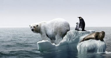 Stire din Social : Încălzirea globală, un subiect discutat de specialiști din întreaga lume
