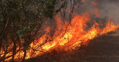 Stire din Monden : Incendii devastatoare în SUA. Zece persoane și-au pierdut viața