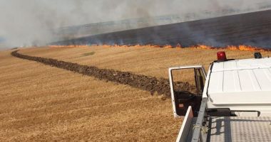 Stire din Eveniment : Incendiile de vegetație, pericole uriașe pentru viață, bunuri materiale  și mediu