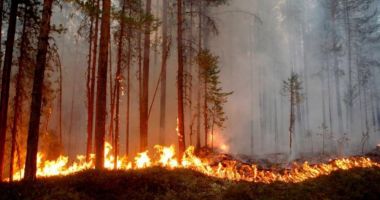 Atenționare MAE: Risc ridicat de incendii în mai multe zone din Grecia