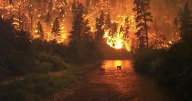 MAE, nouă avertizare pentru Grecia: Risc ridicat de incendii de vegetație pentru duminică