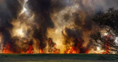 Incendiile de vegetație se extind în sudul Franței