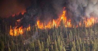 Stire din Actualitate : Peste 1 milion de hectare, mistuite de incendiile forestiere active în Siberia