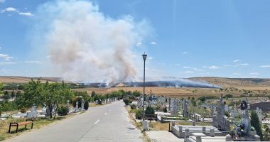 Stire din Eveniment : Zeci de pompieri intervin! Flăcări extinse pe zeci de hectare de culturi agricole din județul Tulcea