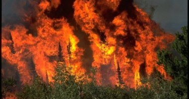 Stire din Eveniment : Stop incendiilor!