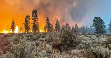 Incendiile masive fac prăpăd în statul american Oregon
