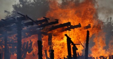 Stire din Eveniment : Incendiu la un adăpost de animale. O femeie și mai multe animale au murit!