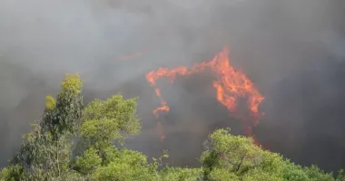 Incendiile de vegetație continuă să se extindă în Spania