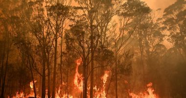Stire din Actualitate : Incendiile de pădure devastează statul american New Mexico