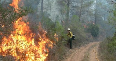 Stire din Actualitate : Incendii de pădure în Catalunia