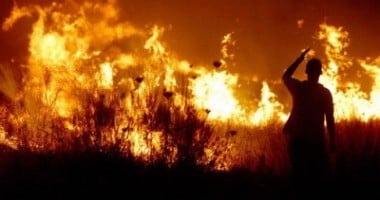 Stire din Eveniment : Incendiu violent de vegetație uscată și stuf la Sinoe