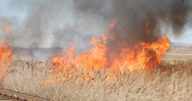 Stire din Eveniment : Ieri, peste 600 de hectare din țară au fost afectate de incendii