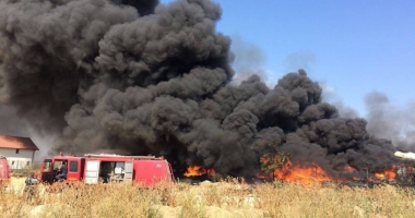 Galerie foto. Incendiu de amploare lângă Constanța. Pompierii  au intervenit cu opt mașini - 5