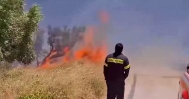 Stire din Eveniment : UPDATE 5 ha de pădure au fost mistuite în incendiul de la Olimp