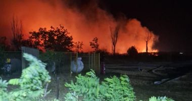 Stire din Eveniment : Zeci de bătrâni, evacuaţi dintr-un azil din Poarta Albă, în urma unui incendiu de vegetaţie uscată