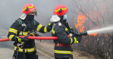 Incendiu la o stână de oi din județul Constanța